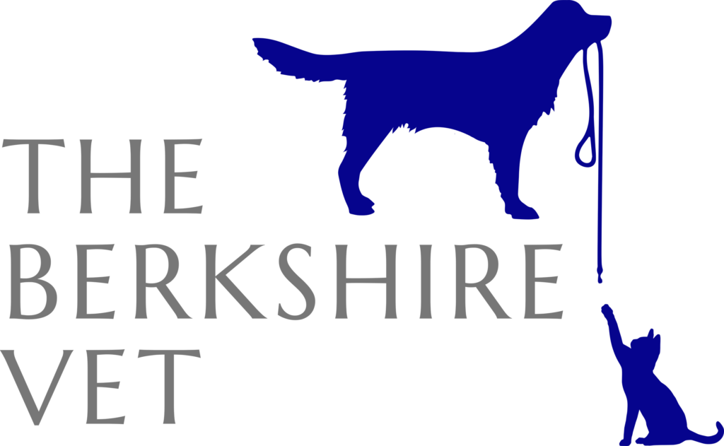 The Berkshire Vet